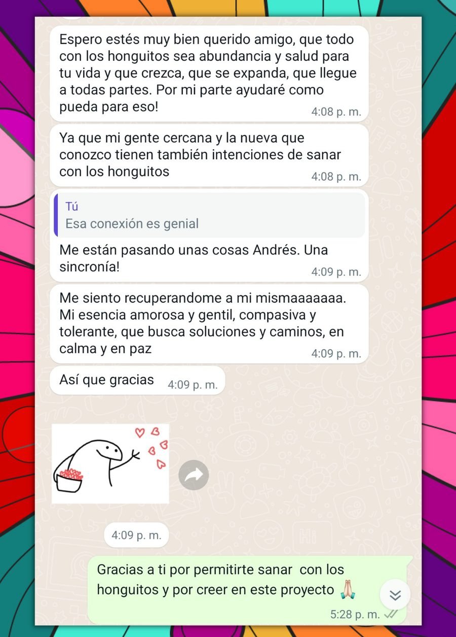 Captura de la conversación, con los datos de la persona recortados